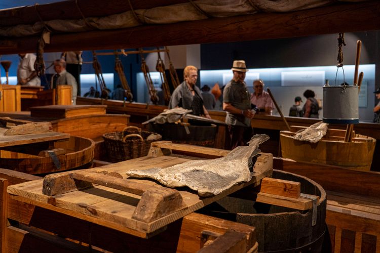 Noite Europeia dos Museus 